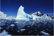 arctic arctic